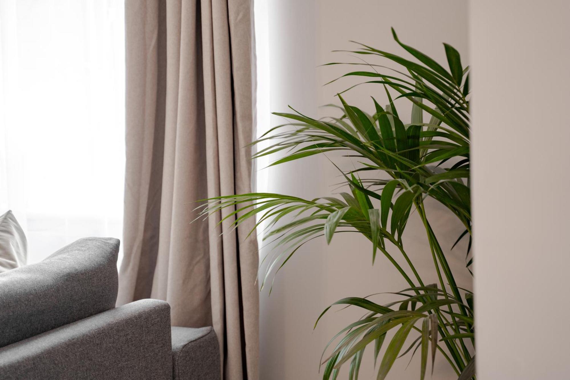 Stylish & Recently Refurbished Chester Apartment - Up To 6 ภายนอก รูปภาพ